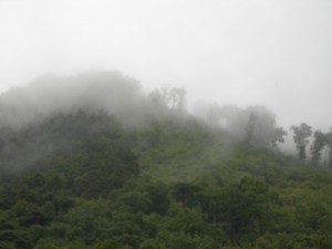 朝もやの中の信夫山（2008-07-26 撮影）