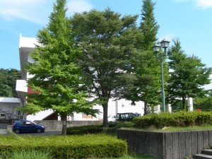 福島大学にて（2008-07-13 撮影）