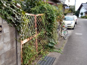 僕の家の近所にある、草の茂ったゲート