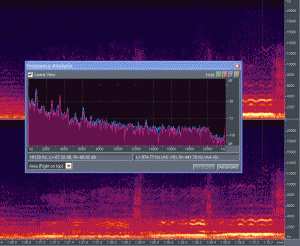 周波数分析とスペクトラム画像の対比。黄色の点線部分の音波が周波数解析グラフ（Frequency Analysis）にあらわれていて、グラフが突出している部分の周波数が、スペクトラム画像でも明るい色で表示されていることがわかります