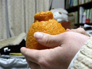 ご家庭からいただいたでこぽんをいただきました。超・薄皮でとってもおいしかった！