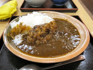 国見 SA で食べた朝食のカレー。「煮込みカレー」550 円だったような気がします。