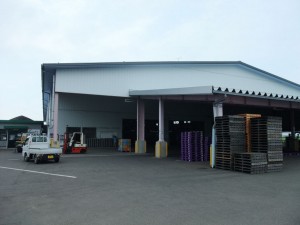 東部広域共選場、どうやら元東部広域選果場。この中で桃の選別と箱詰めを行っているようです。