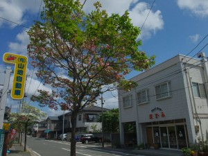 福島市森合のメインストリート中央にお店を構えるミートショップほずみ。