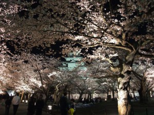 鶴ヶ城の夜桜。